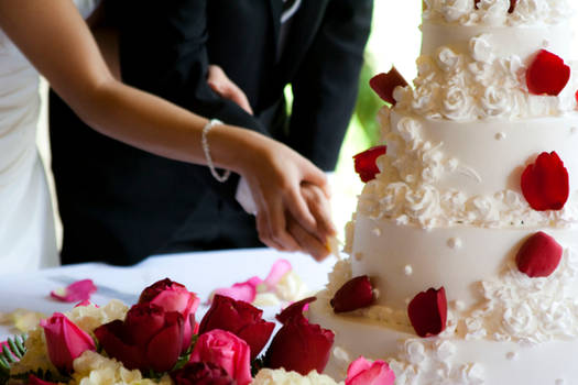 Wedding Cake Cut