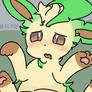 little leafeon