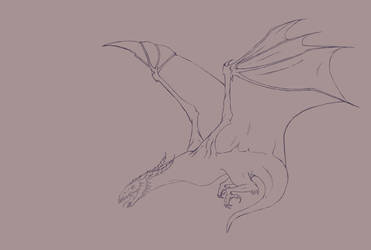 wyvern lineart