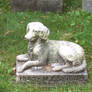 Dog at cemetary