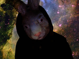 Space Rabbit.