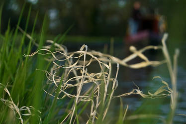 A Skulking Narrowboat