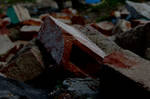 brick by fruittree93