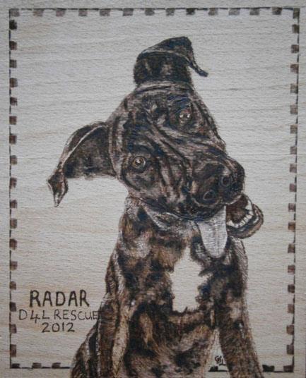 Radar