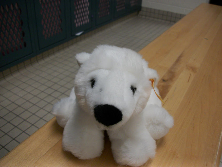 Knut Anddog Meet Knut by ElitaLovegood on DeviantArt