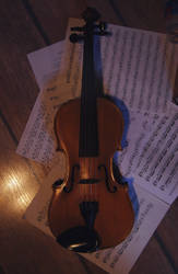 Violin stock