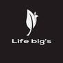 Life Big's logo design