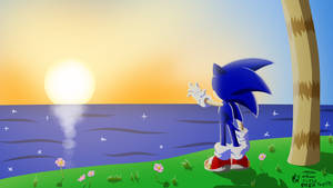 Sonic at sunset view