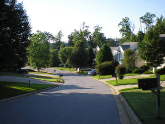 Green Neighborhood 3