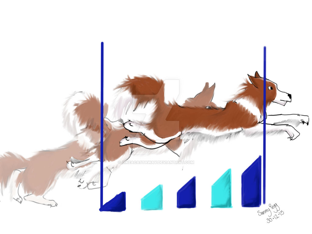 Deviantart Animal Jumping Stages Of Jumping by LikeACastaway on DeviantArt