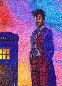 14th Doctor and TARDIS