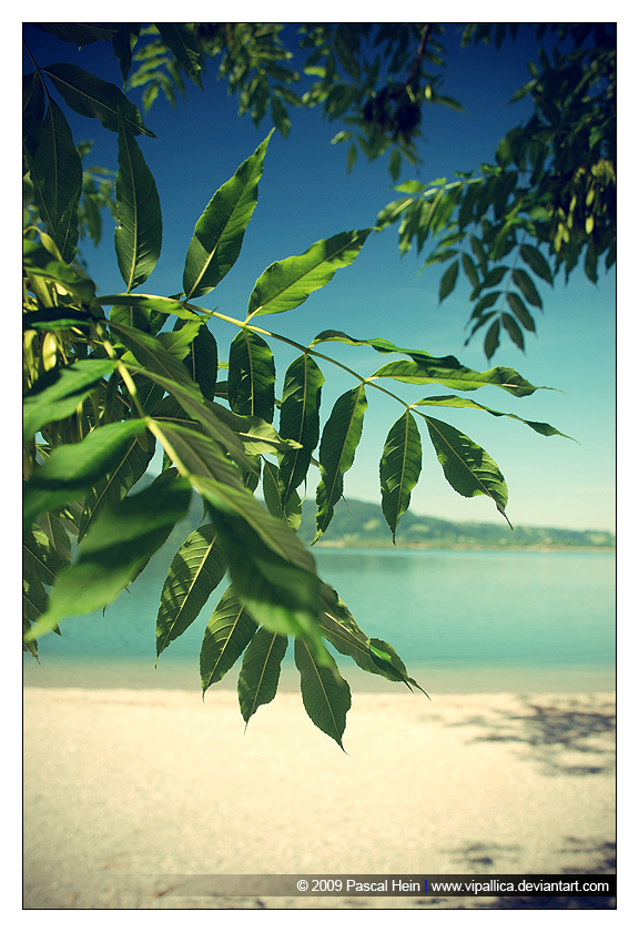 Paradisiac by Vipallica