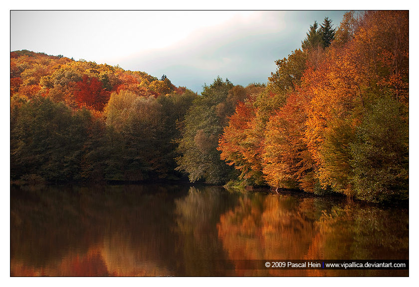 Autumn Pond by Vipallica