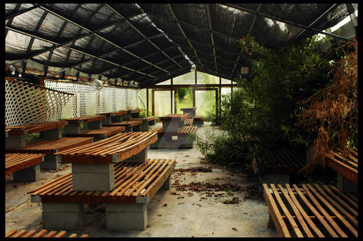 Abandoned Greenhouse XVII