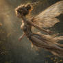 Fairy