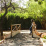 Girl on bridge