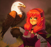 :Falconer+video process in description: