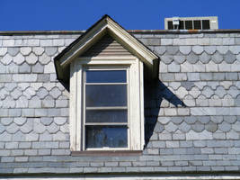Window