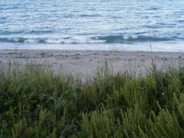 Beach Stock 45