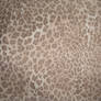 Animal Print Fabric Stock 02
