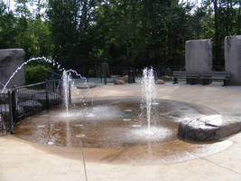 Park Stock 06