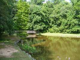 Park Stock 39