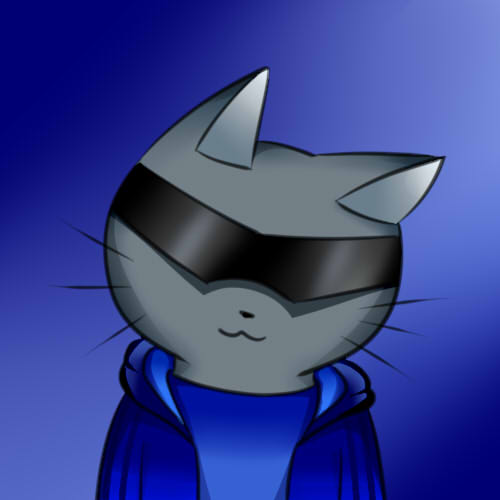Sunglasses Cat3