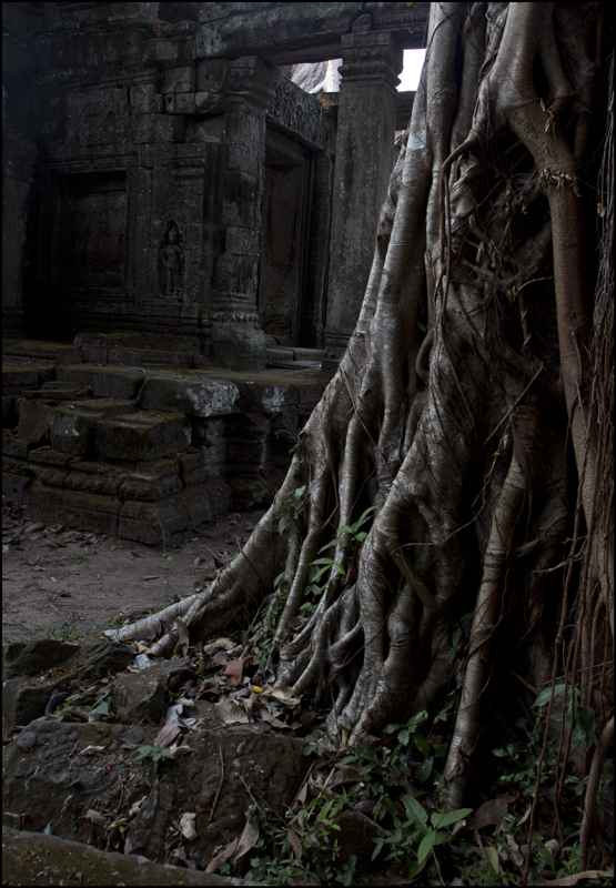 Preah Khan 3