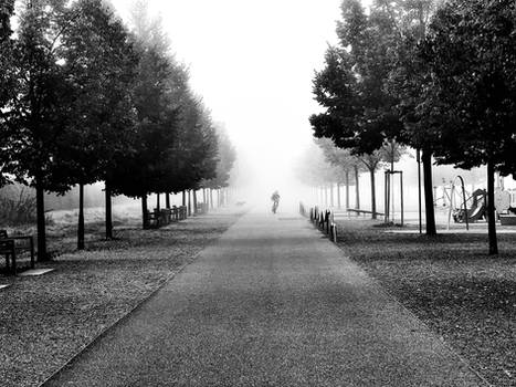 Misty Morning II