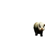 Pig Cutout