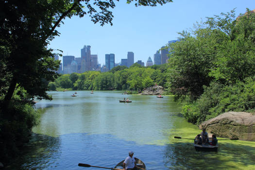 The Central Park Pond
