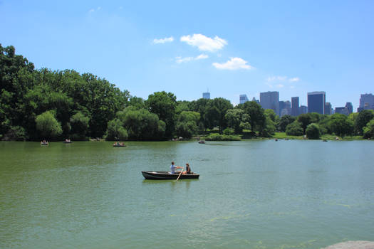 Rowing in the Park