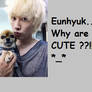 Eunhyuk why so cute