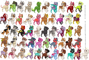 51 puppy adoptables!