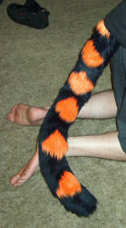 Black Orange Tail Curved