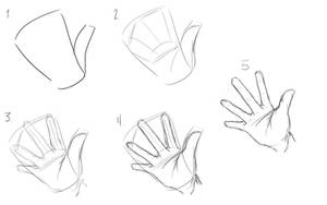 Basic Hand Drawing