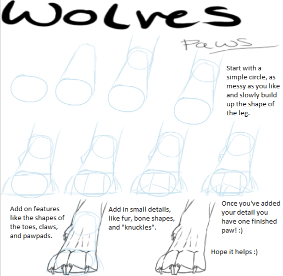 How to draw wolves: Paws