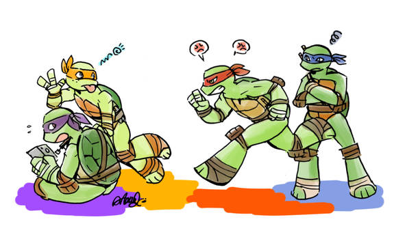 Turtle Brothers