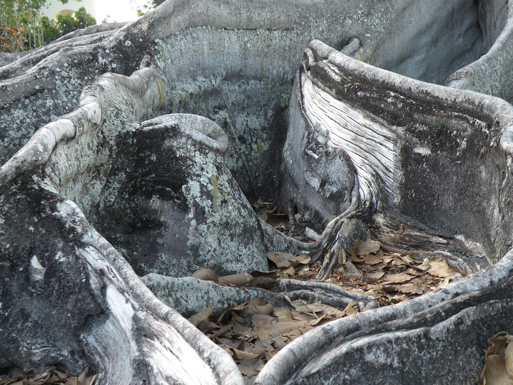 Wavy roots (2) by InnerKunoichi on DeviantArt