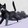 Sheba the (Remade) Realistic Wolf ( Sims 3 Pets)