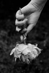 Hand and Flower