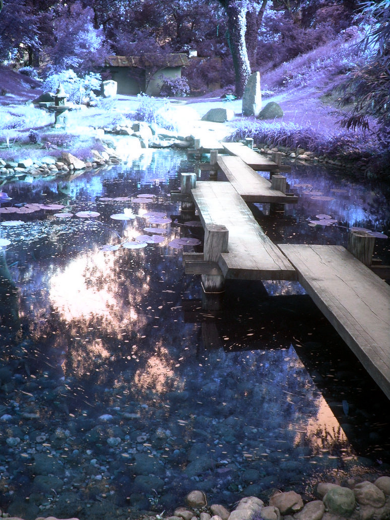 Japanese diaries-Small bridge2