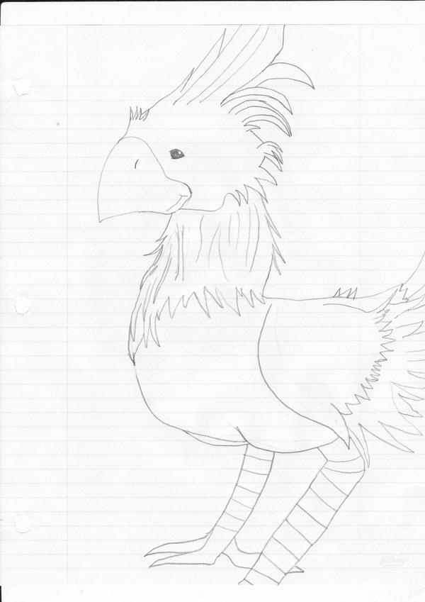 Chocobo-Boko- by TeamJaruno on DeviantArt