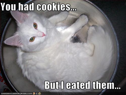 You Had Cookies...