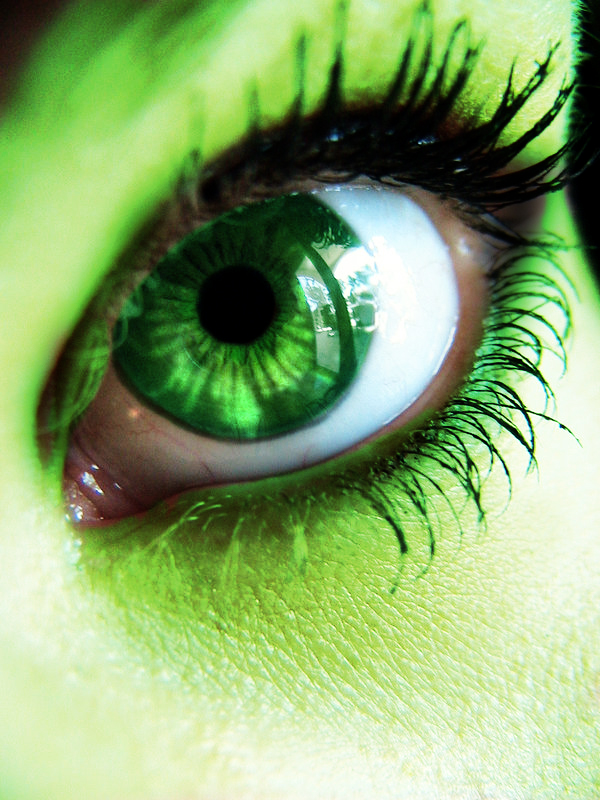 Kiwi Eye