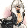 black cat