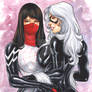 Silk And Black Cat