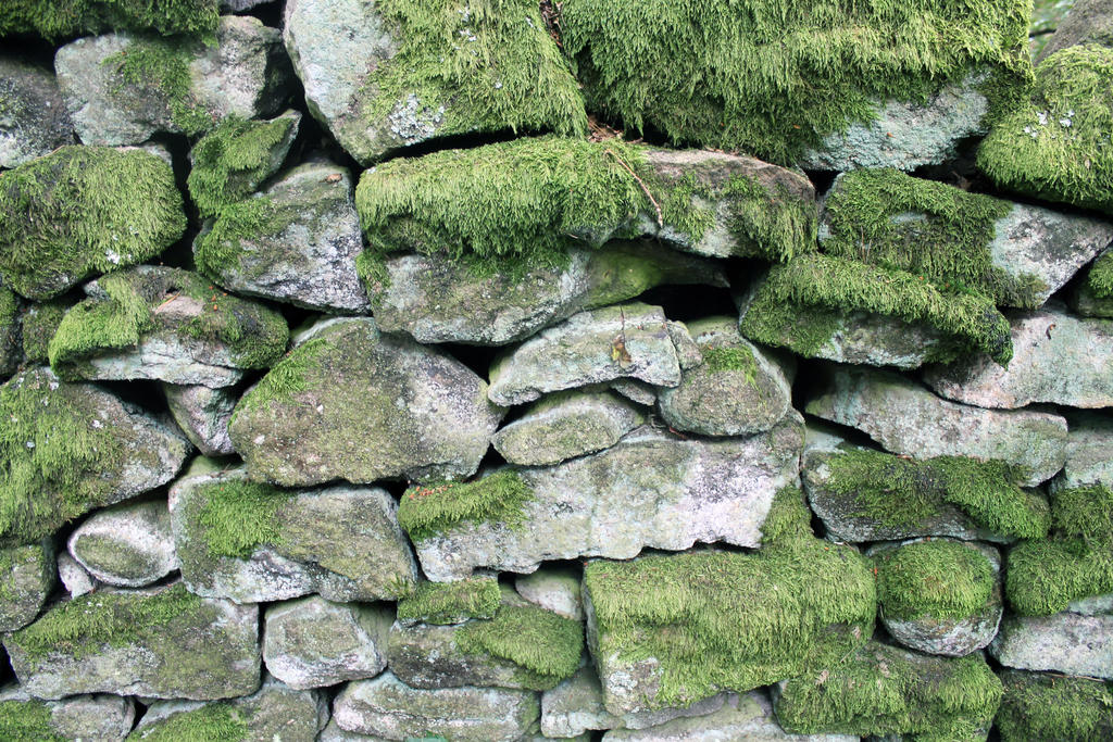 Mossy Cobblestone by 53kshun8 on DeviantArt