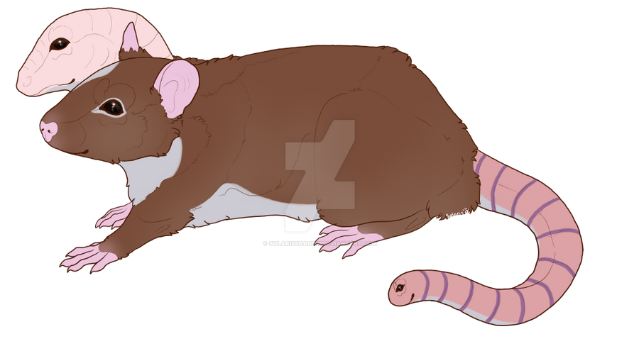 Bugs R Russ Bugs R'Us by solarisShadow on DeviantArt