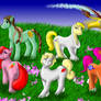 'MY' Little Ponies